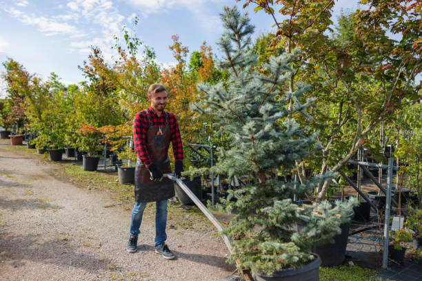 Best Tree Pruning Services  in Eldorado At Santa Fe, NM